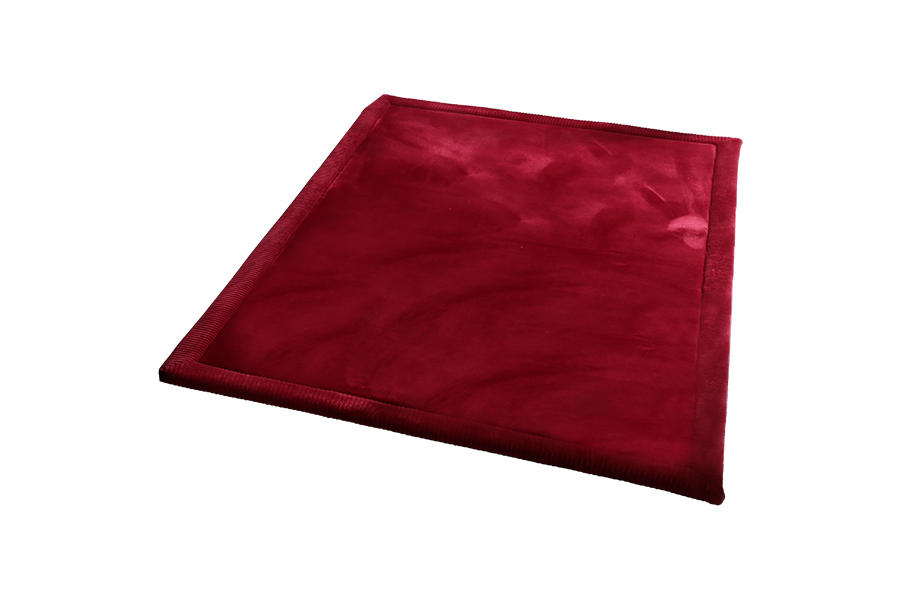 Modern and simple coral velvet thickening rug