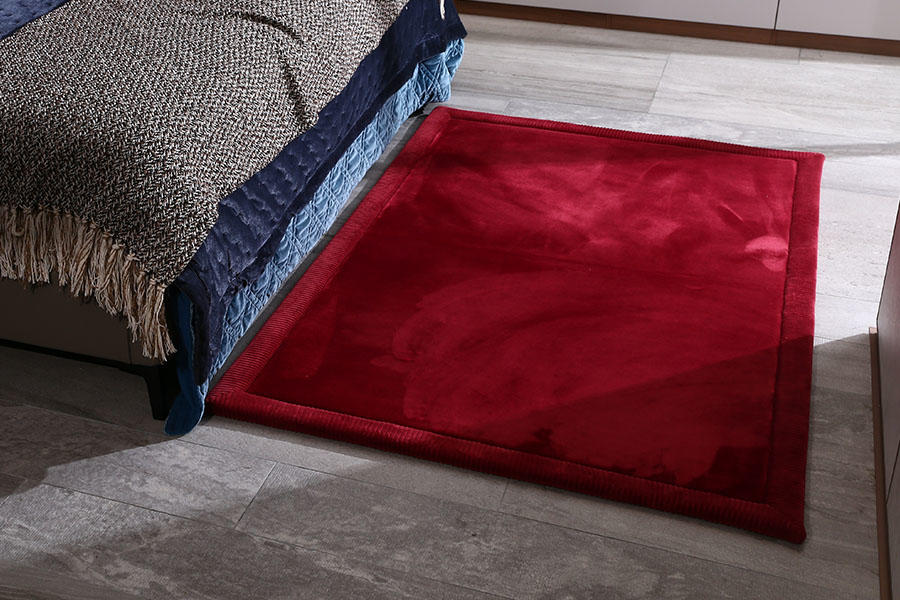 Modern and simple coral velvet thickening rug