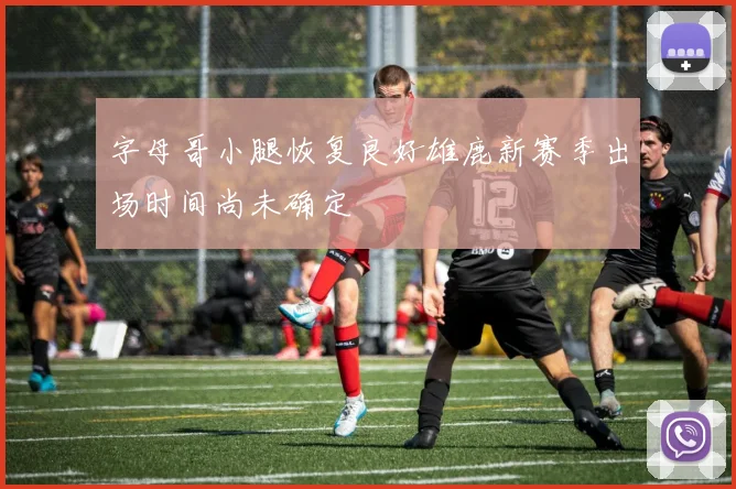 字母哥小腿恢复良好雄鹿新赛季出场时间尚未确定