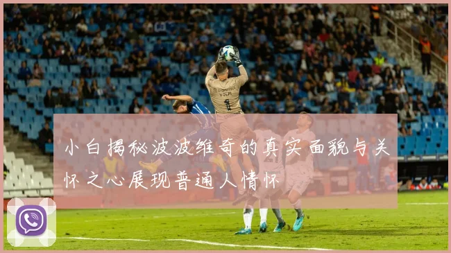 小白揭秘波波维奇的真实面貌与关怀之心展现普通人情怀