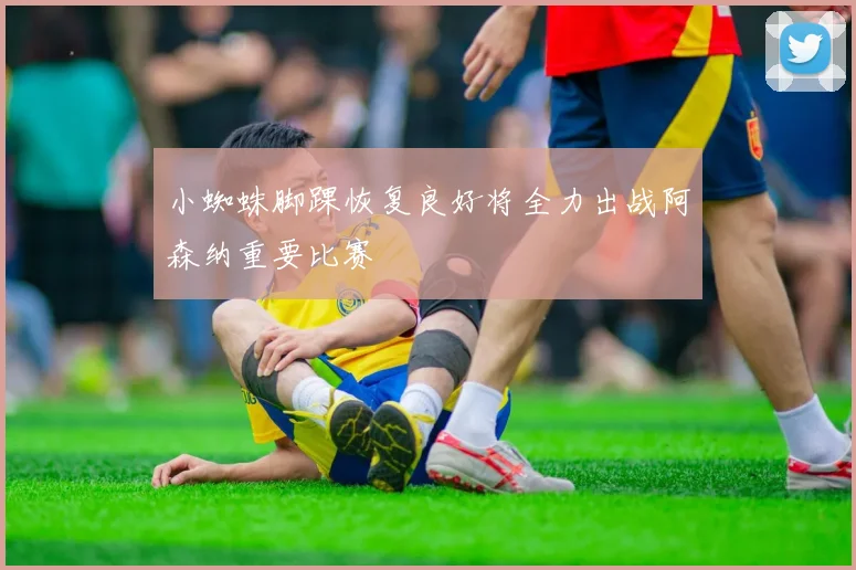 小蜘蛛脚踝恢复良好将全力出战阿森纳重要比赛