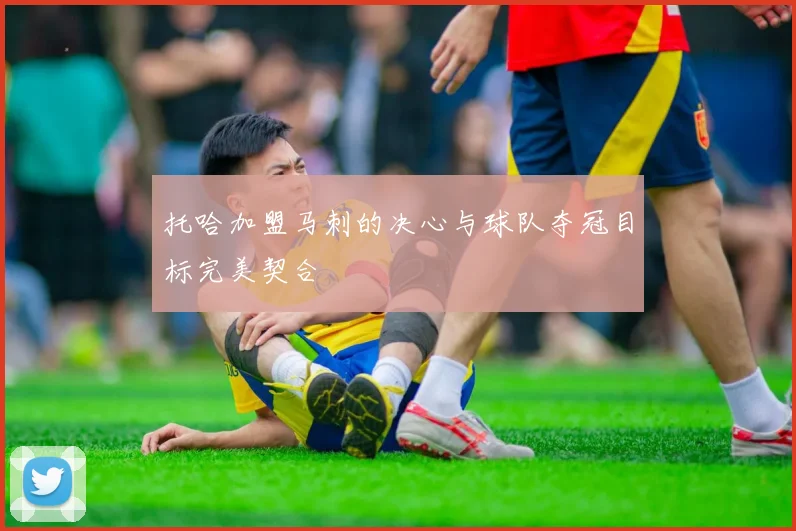 托哈加盟马刺的决心与球队夺冠目标完美契合