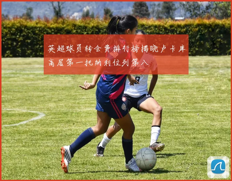 英超球员转会费排行榜揭晓卢卡库高居第一托纳利位列第八